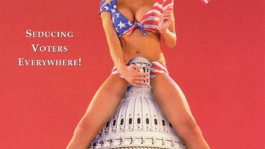 Sex  Lies & Politics - Backdrop