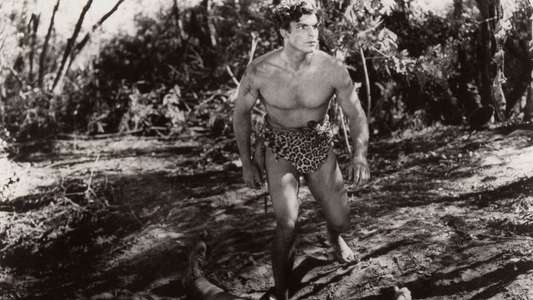 Tarzan: Silver Screen King of the Jungle - Backdrop