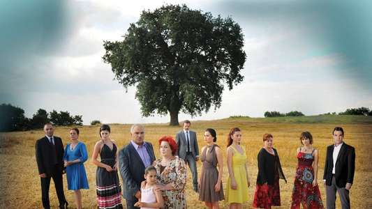 Yaprak Dökümü - Backdrop