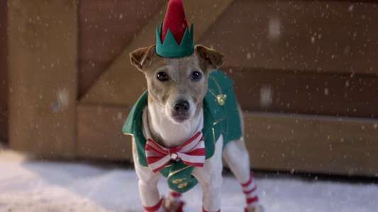 Santa Buddies - Backdrops