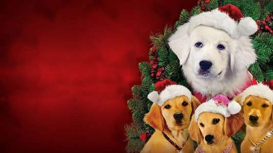Santa Buddies - Backdrops
