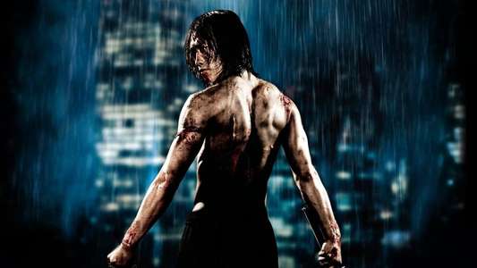 Ninja Assassin - Backdrop