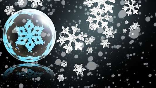 12 Days of Christmas Eve - Backdrop