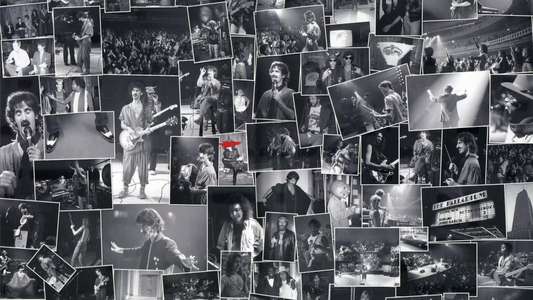 Frank Zappa: The Torture Never Stops - Backdrop