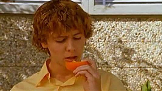 Oranges - Backdrop