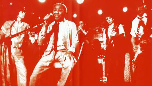 Muddy Waters and The Rolling Stones: Live at the Checkerboard Lounge - Backdrop