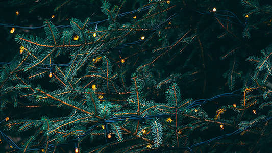 Christmas Lights - Backdrop