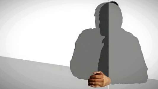 Slavoj Žižek: The Reality of the Virtual - Backdrop