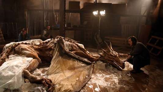 Dragons: A Fantasy Made Real - Backdrop