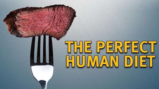 The Perfect Human Diet - Backdrop