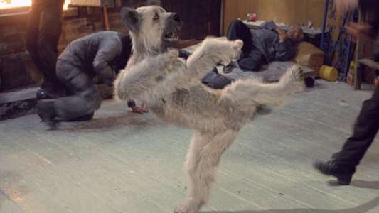 The Karate Dog - Backdrop