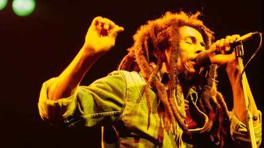 Bob Marley: This Land is Your Land - Backdrop