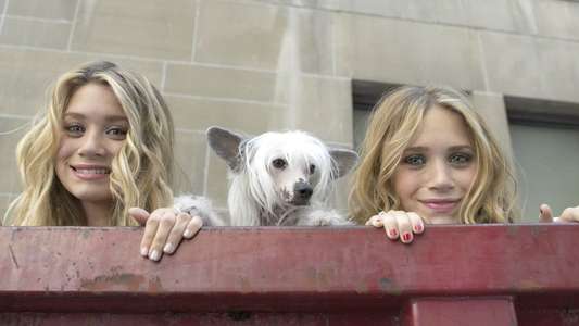 New York Minute - Backdrop