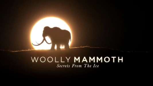 Woolly Mammoth: Secrets From The Ice - Backdrop