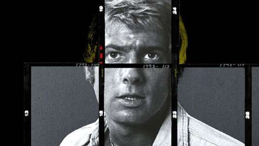 Wrangler: Anatomy of an Icon - Backdrop