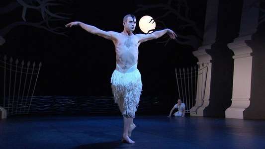 Matthew Bourne's Swan Lake - Backdrop