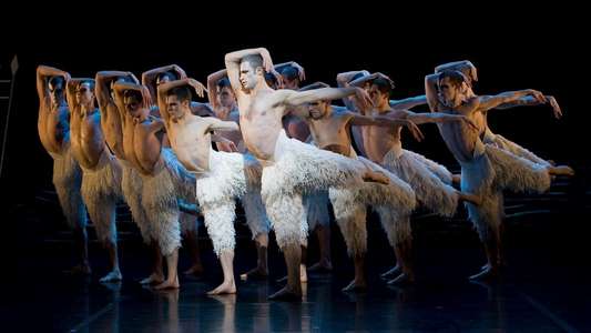 Matthew Bourne's Swan Lake - Backdrop