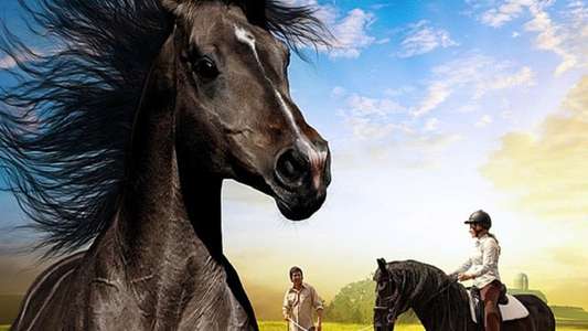 The Dark Horse - Backdrop