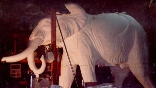 El Elefante del Rey - Backdrop