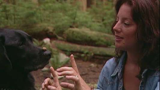 Sarah McLachlan: A Life of Music - Backdrop