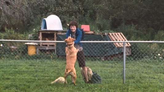 Wendy and Lucy - Backdrop