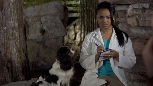 Dr. Dolittle: Tail to the Chief - Backdrops
