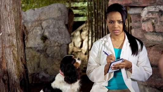 Dr. Dolittle: Tail to the Chief - Backdrops