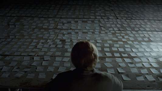 Synecdoche  New York - Backdrop