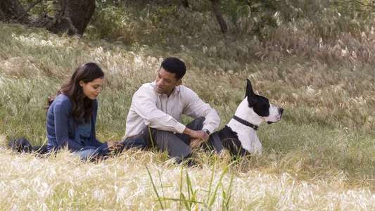 Seven Pounds - Backdrop
