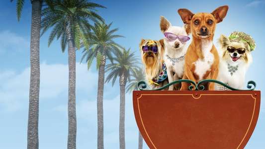 Beverly Hills Chihuahua - Backdrop