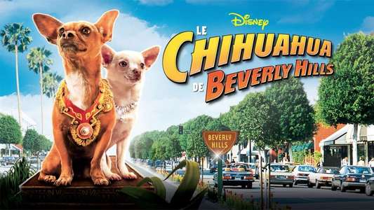 Beverly Hills Chihuahua - Backdrop