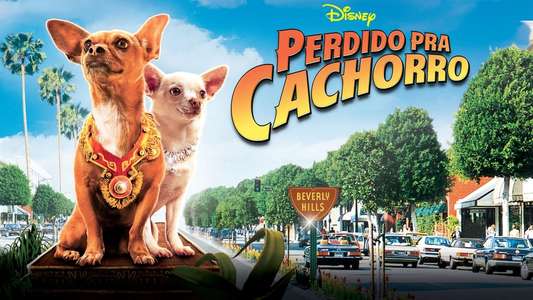 Beverly Hills Chihuahua - Backdrop