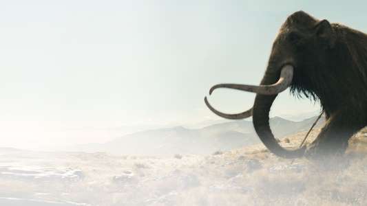 10 000 BC - Backdrops