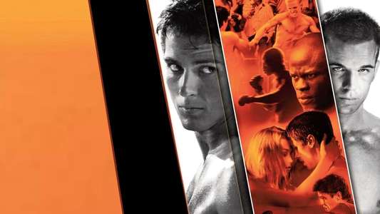 Never Back Down - Backdrop