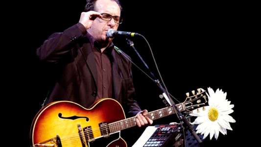 Elvis Costello & the Imposters: Club Date - Live in Memphis - Backdrop