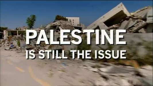 Palestine Is Still the Issue - Backdrop