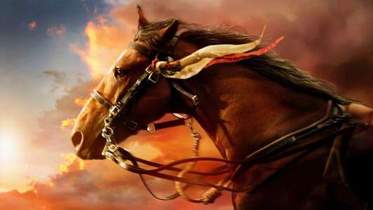 War Horse - Backdrop