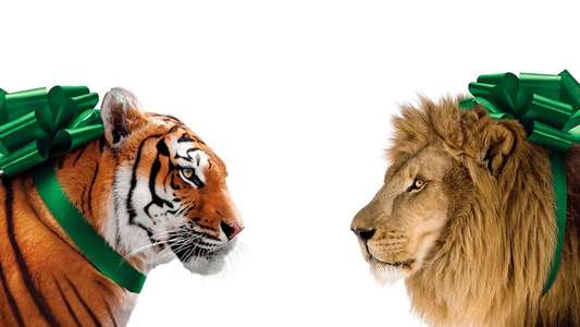We Bought a Zoo - Backdrops