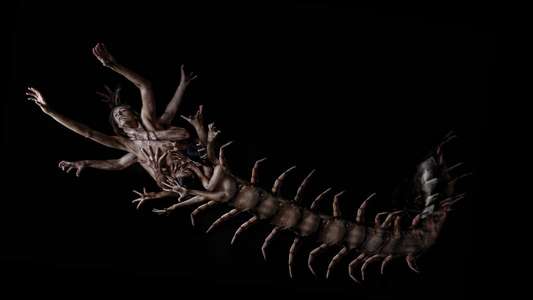 The Human Centipede 2 (Full Sequence) - Backdrop