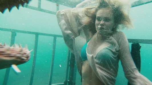 Shark Night 3D - Backdrop
