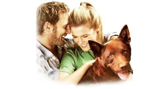 Red Dog - Backdrop
