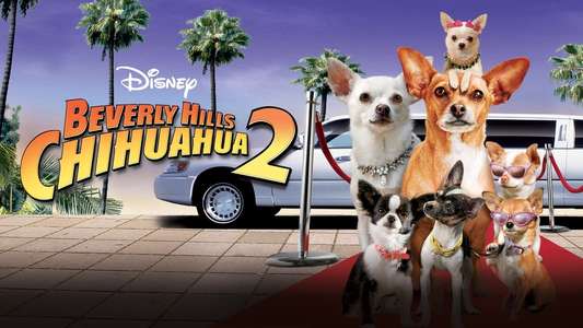 Beverly Hills Chihuahua 2 - Backdrop
