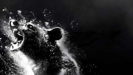 Cocaine Bear - Backdrop