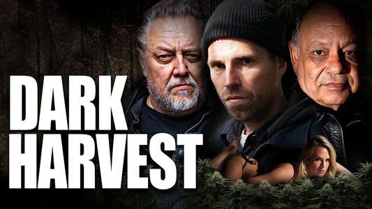 Dark Harvest - Backdrops
