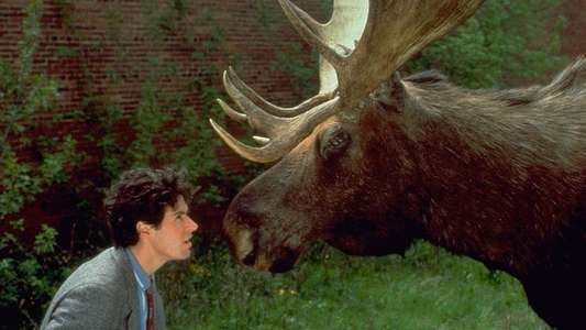 Northern Exposure - Backdrop