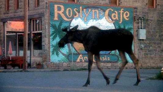 Northern Exposure - Backdrop