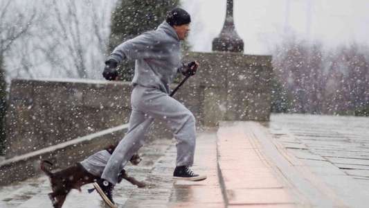 Rocky Balboa - Backdrop