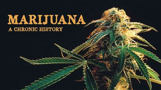 Marijuana: A Chronic History - Backdrop