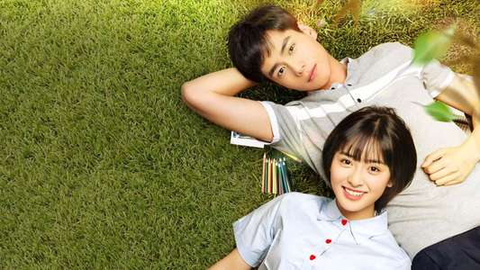 A Love So Beautiful - Backdrops