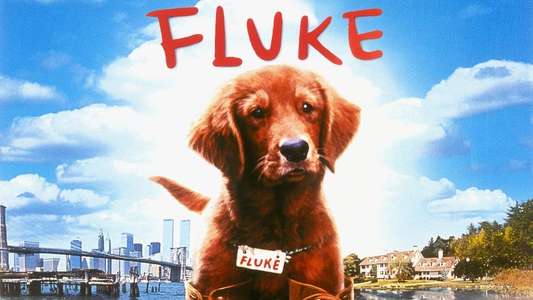 Fluke - Backdrop